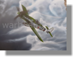 Detail Pin Up " Braun 4" Fw 190 D9 Jg 26 